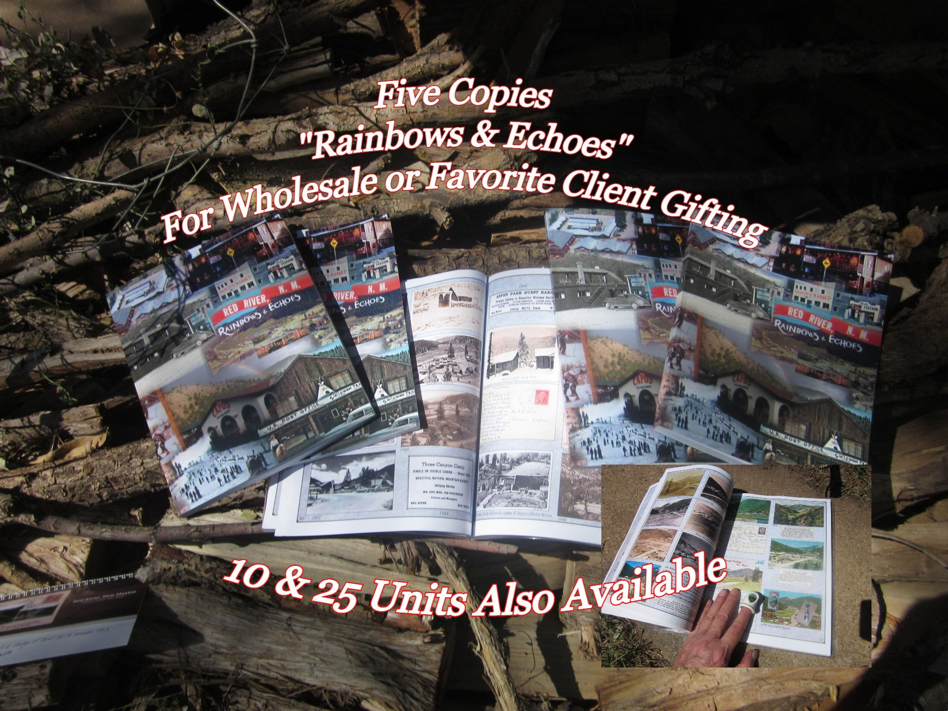 Bulk Orders of "Rainbows & Echoes"