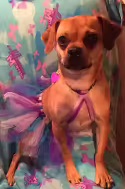 Fiona