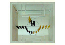 REGIMEN BAJO EN CALORIAS