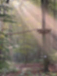 Sonnenaufgang im Kletterwald Blankenburg
