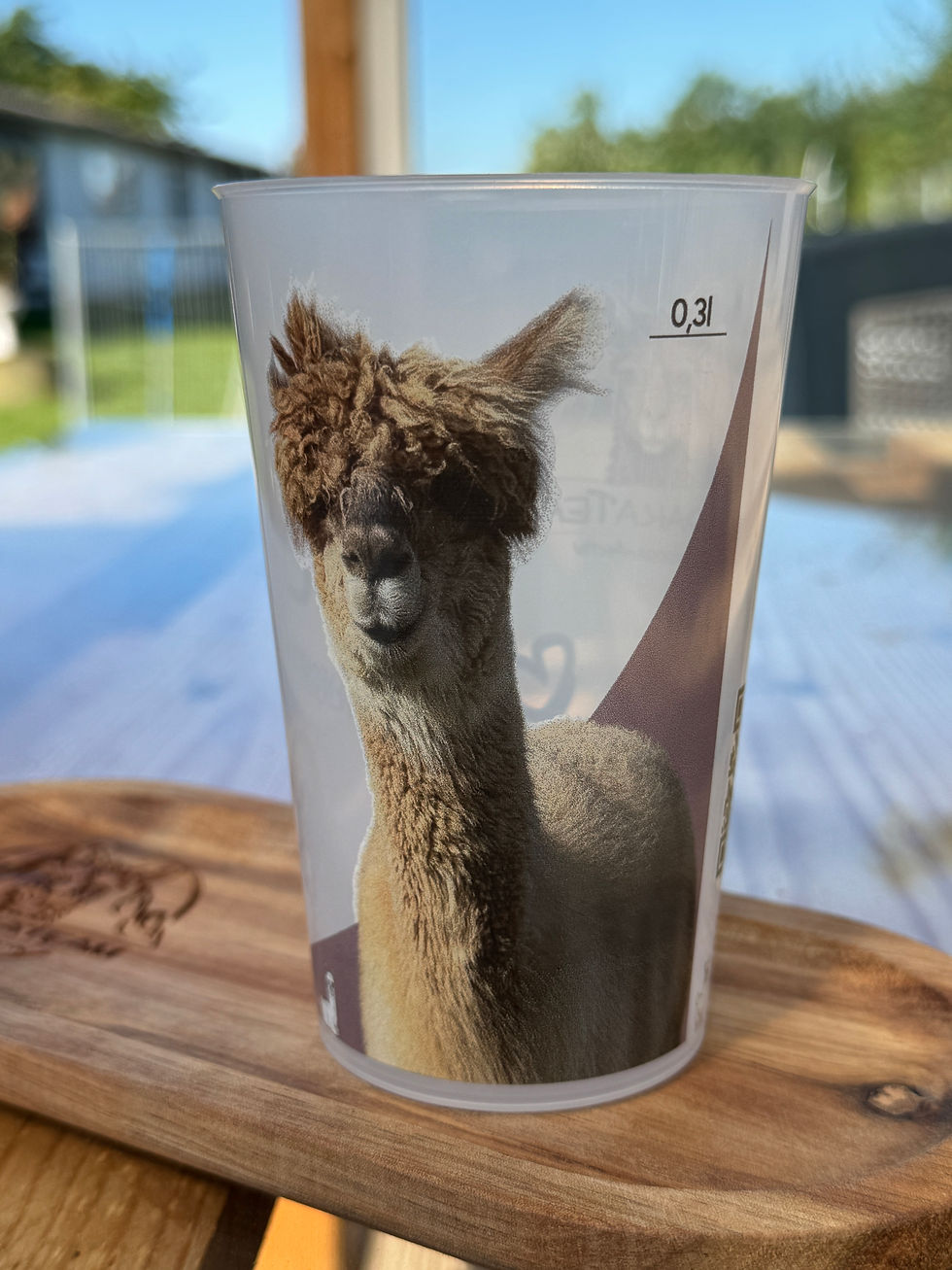 Miniaturbild: Becher Balou