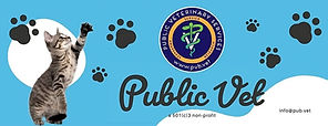 PubVet