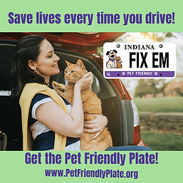 Copy-of-Copy-of-Save-lives-every-time-you-drive1.png