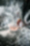 7G8A7477.jpg