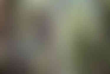 A mountain biker sending it off of a drop at Little Red trails