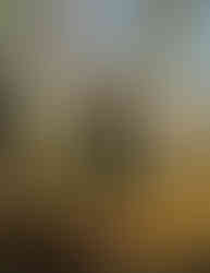 My first ride on Grey Owl's trail in 2020