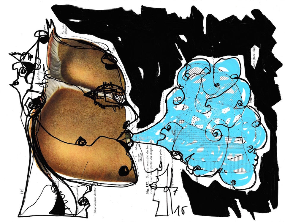 Dessin , encre , sur planche anatomique