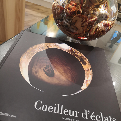Cueilleur d'éclats