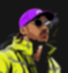 hamilton 750x800.jpg