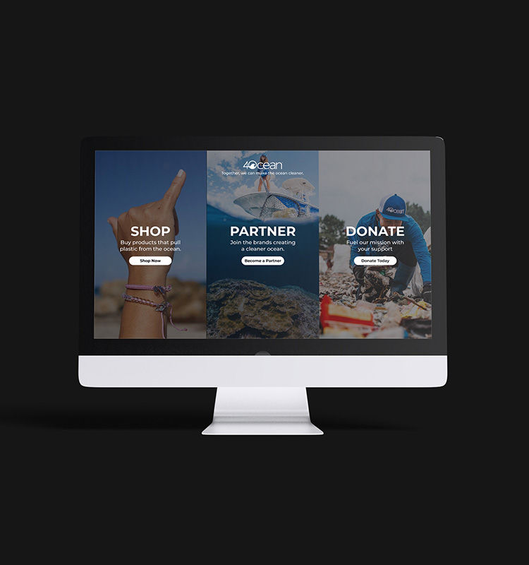 websites 750x800.jpg