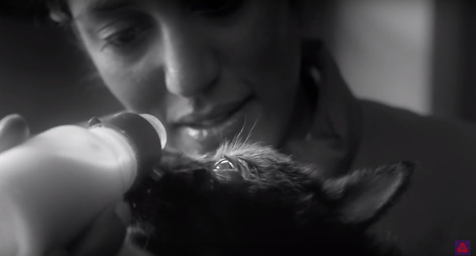 Beautifully shot film where I feature as a dog rescue worker. Great playing with a cute puppy for the day!