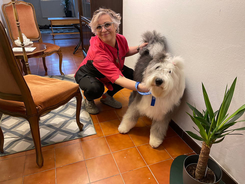 Donna im Salon MamaWau