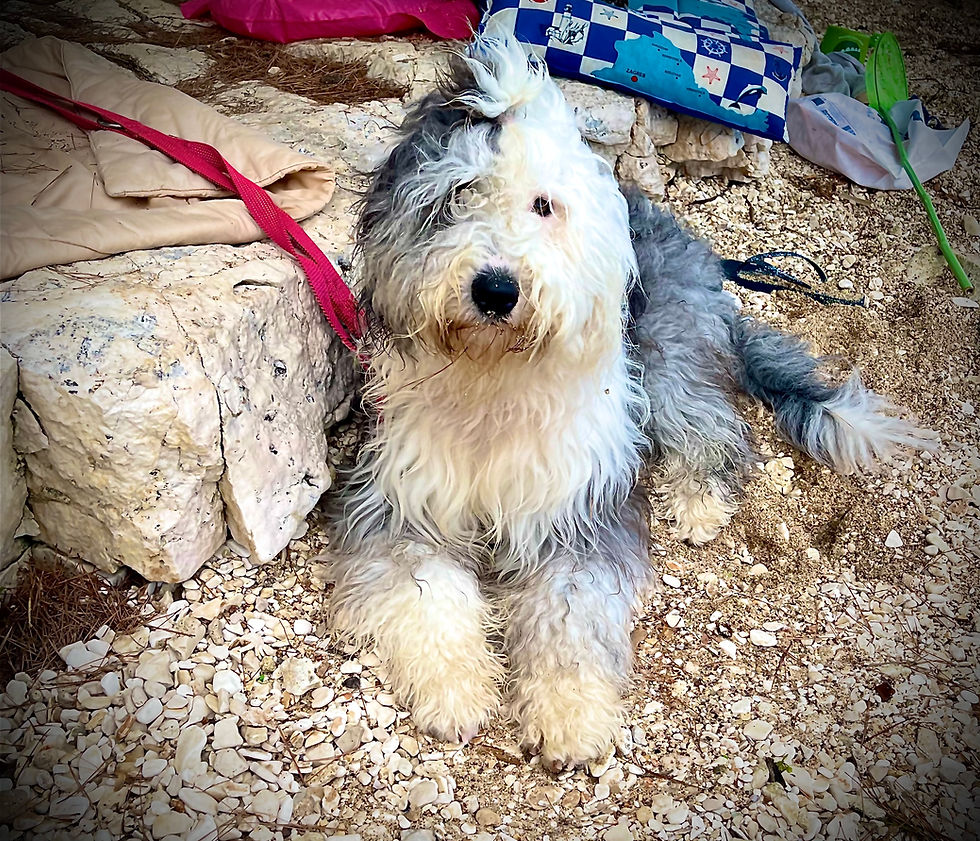Am Strand