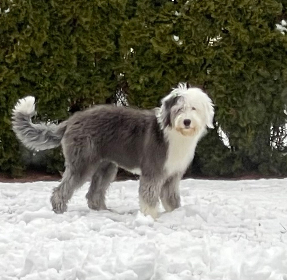 Donnas erster Schnee