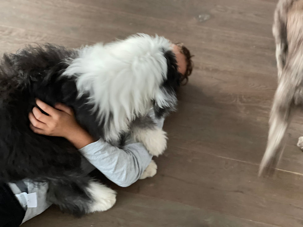 Kuscheln mit Donna