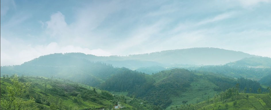 Elegant view of The Royal Nilgiris property surrounded by lush greenery and scenic mountain backdrop.