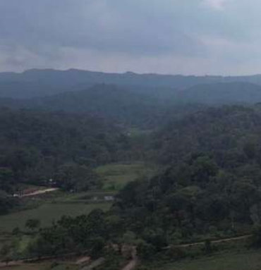 Luxury villa property 'Amodaa' in Madikeri, nestled in lush greenery with modern amenities, ideal for investment & vacation stays