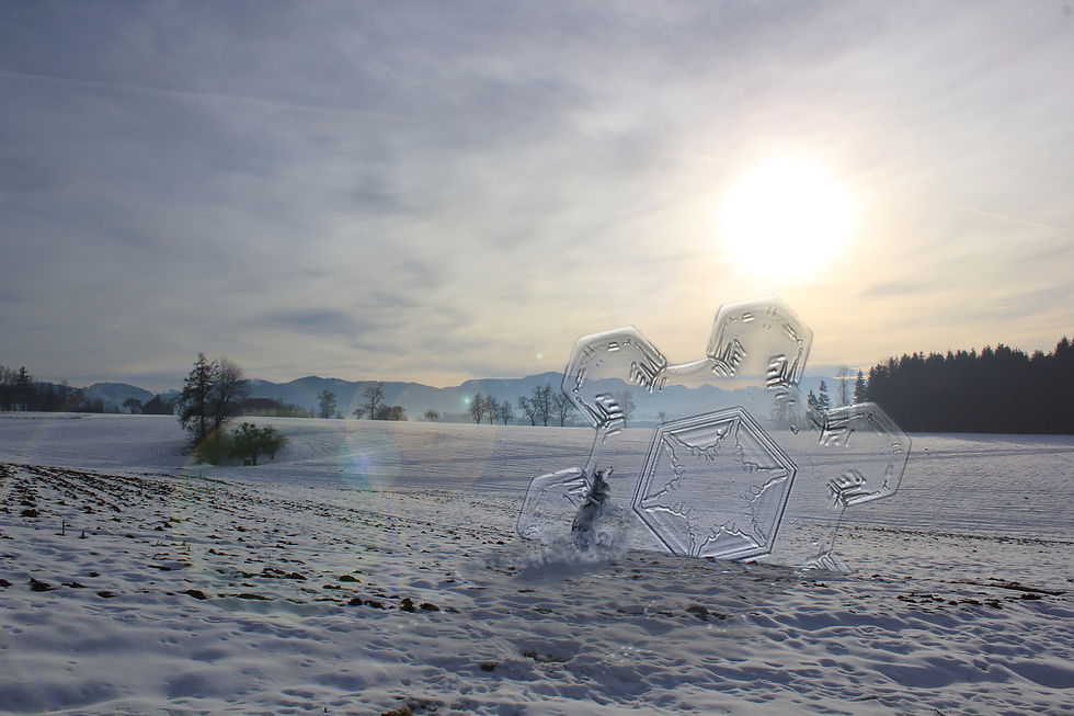 Snowflake