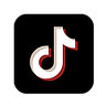 TikTok Logo