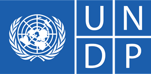 UNDP logo.png
