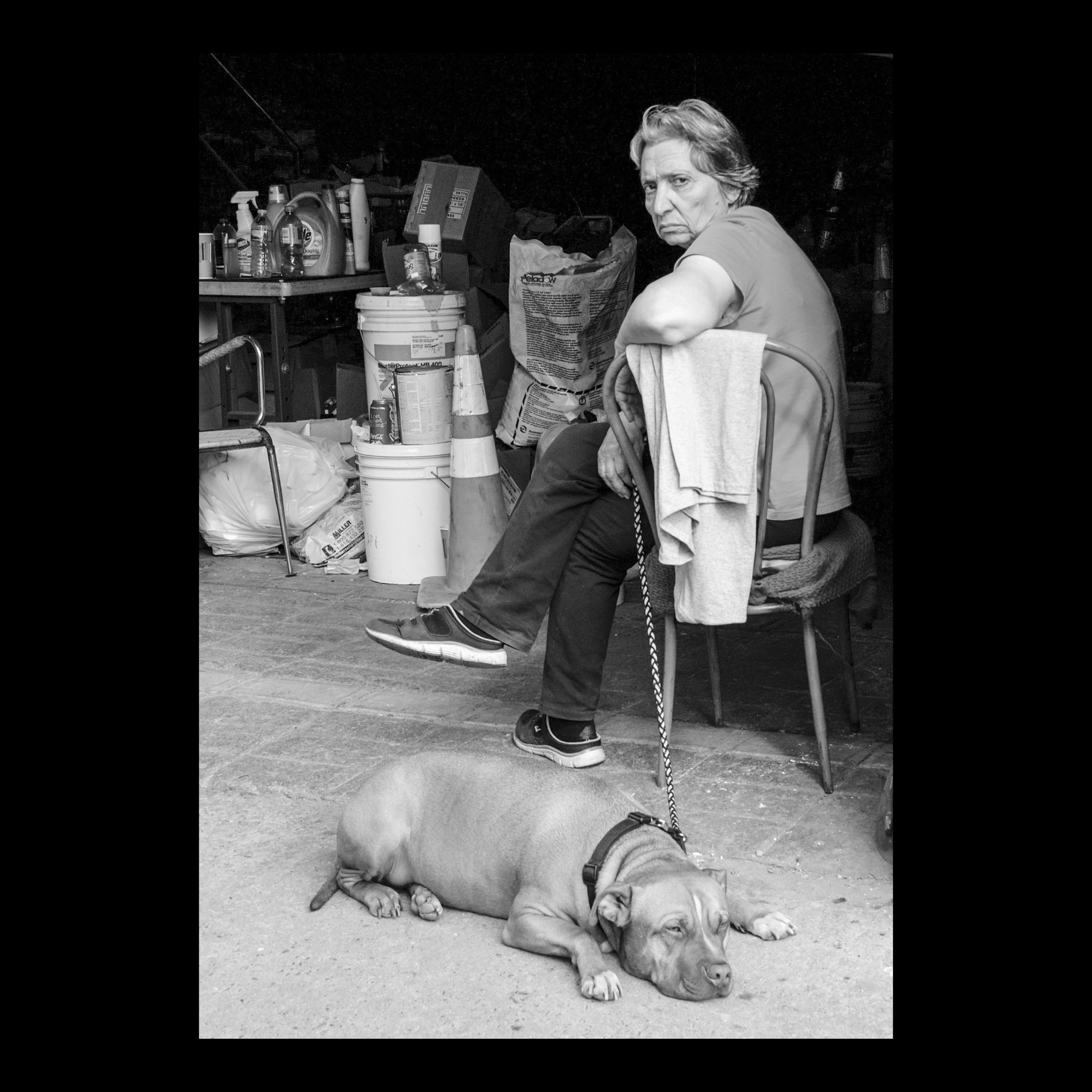 Bushwick Woman With Dog