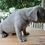 Thumbnail: Everett French Bulldog