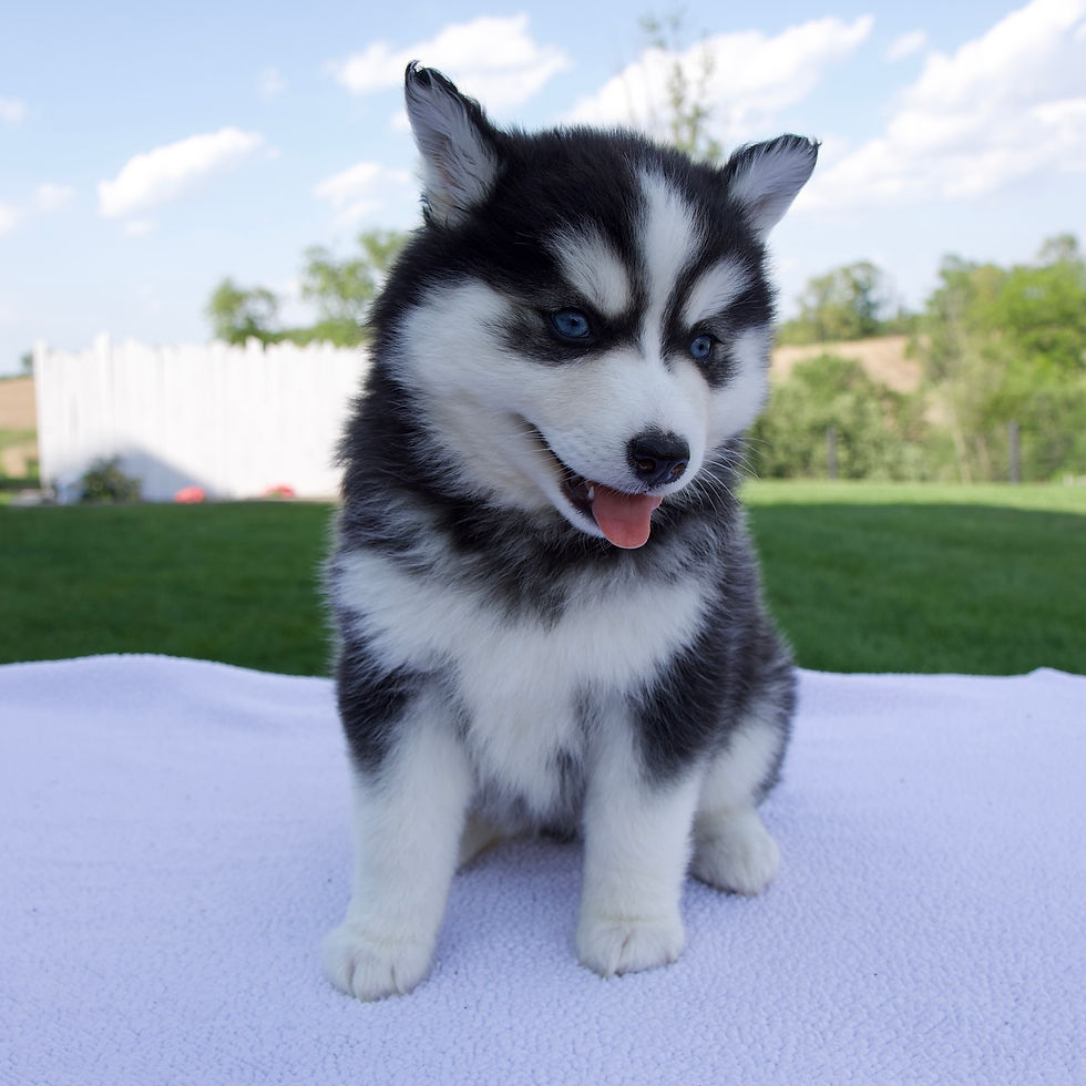 Thumbnail: Sadie Pomsky
