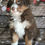 Thumbnail: Fran