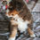 Thumbnail: Fran