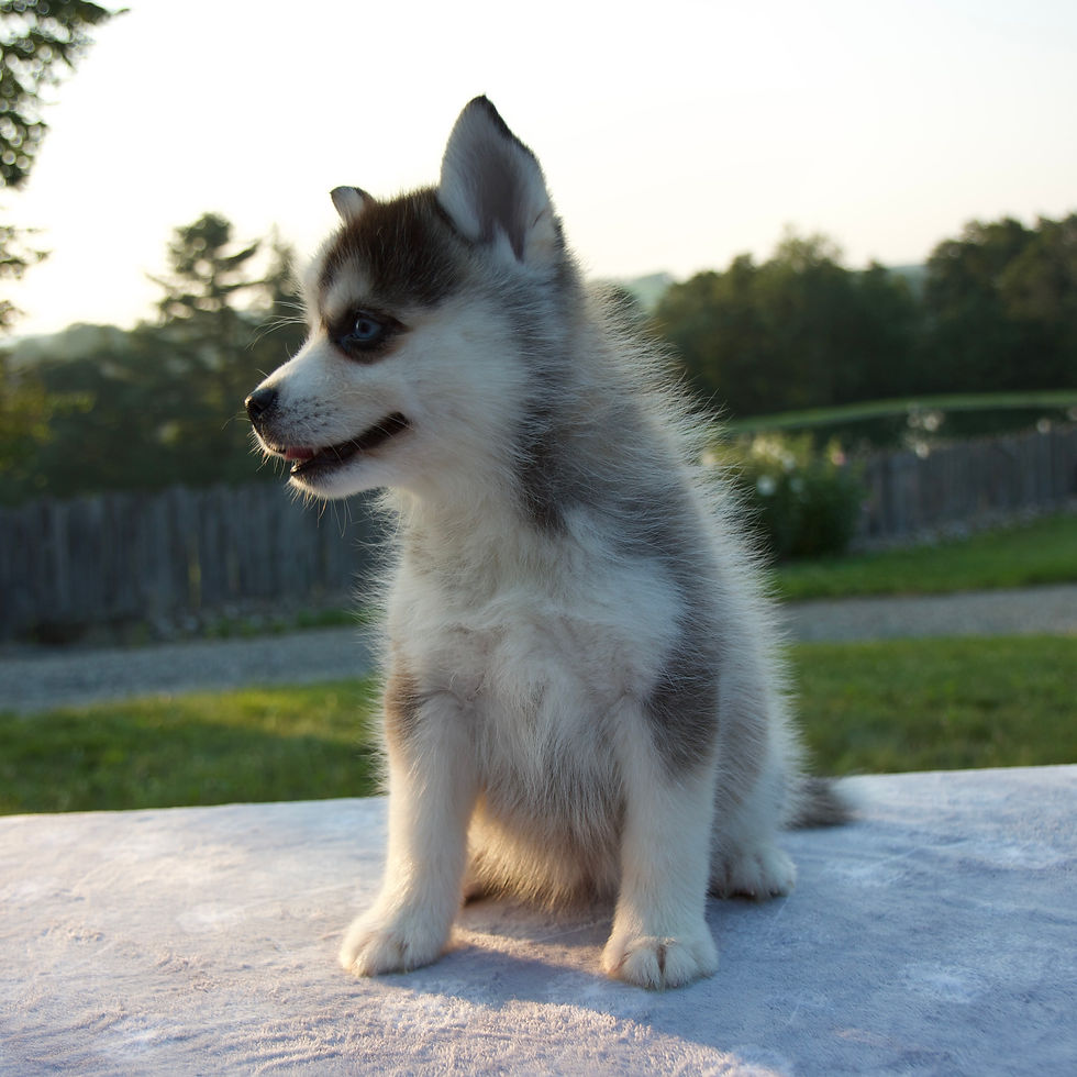 Thumbnail: Trisha Pomsky