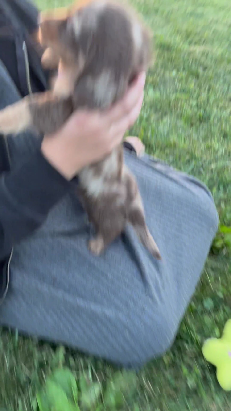 Thumbnail: Skip