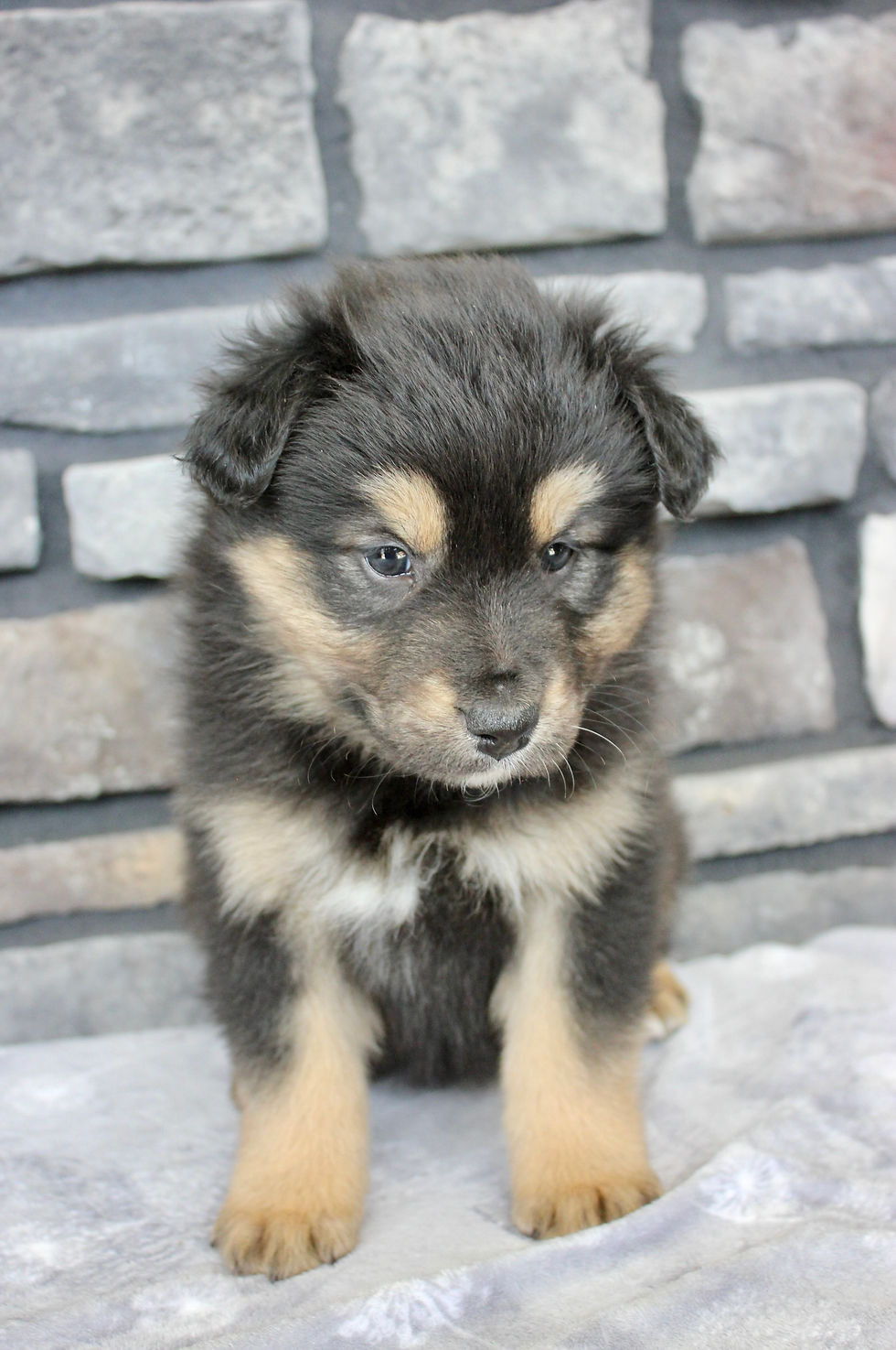 Thumbnail: Maggie