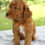 Thumbnail: Bentley