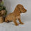 Thumbnail: Stella Miniature Dachshund