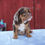 Thumbnail: Clea Beabull