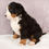 Thumbnail: Bernese Mt Dog