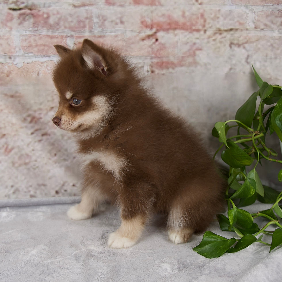 Thumbnail: Kara Pomsky