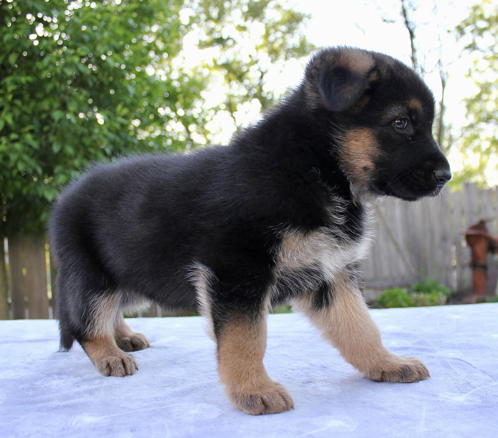 Thumbnail: Maggie