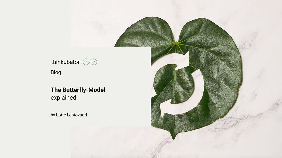 Blog Butterfly-Modell banner