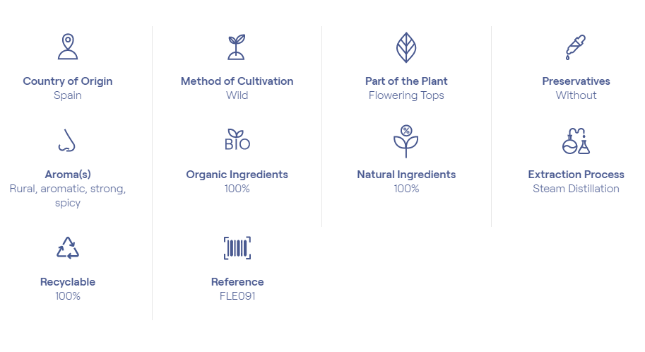 縮圖：Florihana Thyme Thymol Organic Essential Oil