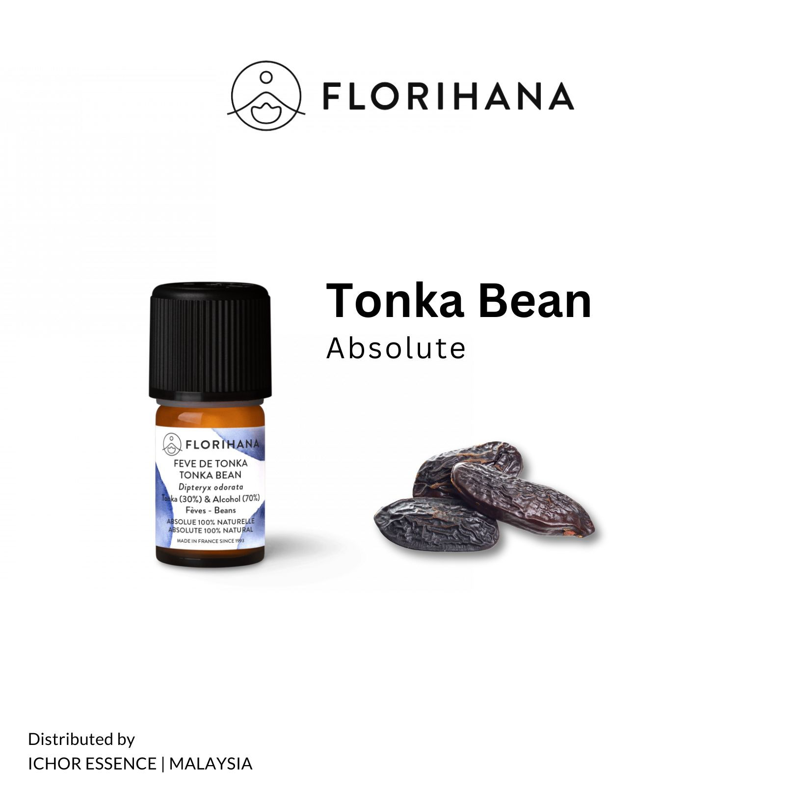 Tonka Bean Absolute