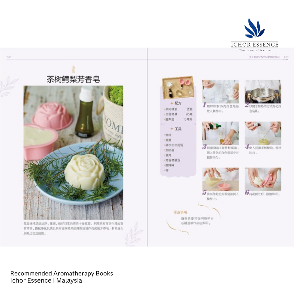 縮圖：Aromatherapy Beginner's Guide to Essential Oils Book 芳香疗法书籍 精油零基础入门