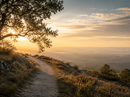 Caminho simples ao amanhecer com luz atravessando árvores, simbolizando a alegria firme no Senhor.