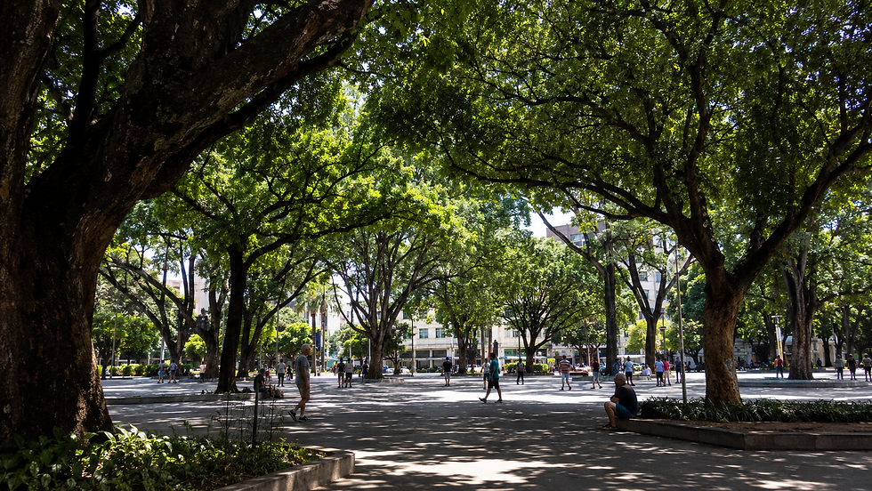 Pessoas atravessam e descansam numa praça pública protegida por grandes árvores maduras plantadas muitos anos antes, representando o chamado a não esquecer que muitos benefícios desfrutados hoje carregam uma história anterior a nós.