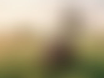 A TROCA DE FARDOS: DESCUBRA COMO ALIVIAR O PESO DO CORAÇÃO