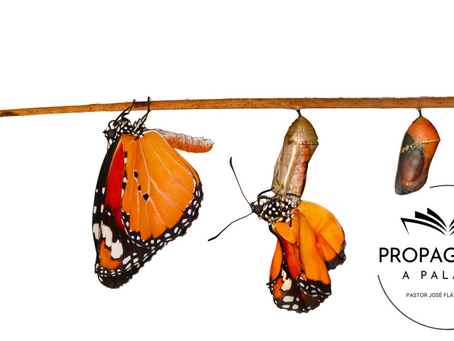 Esperança que Transforma