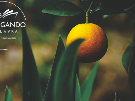 O Fruto do Espírito: Amor, Alegria e Paz