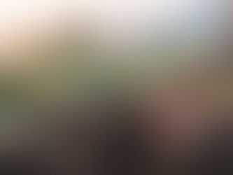 Mãos plantando sementes, ilustrando a atitude ativa ao esperar em Deus no silêncio.