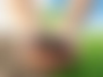 Hands holding a small plant sprout in the center of an image split between a barren desert and a lush green field, symbolizing contentment and strength in Christ in any and all circumstances.