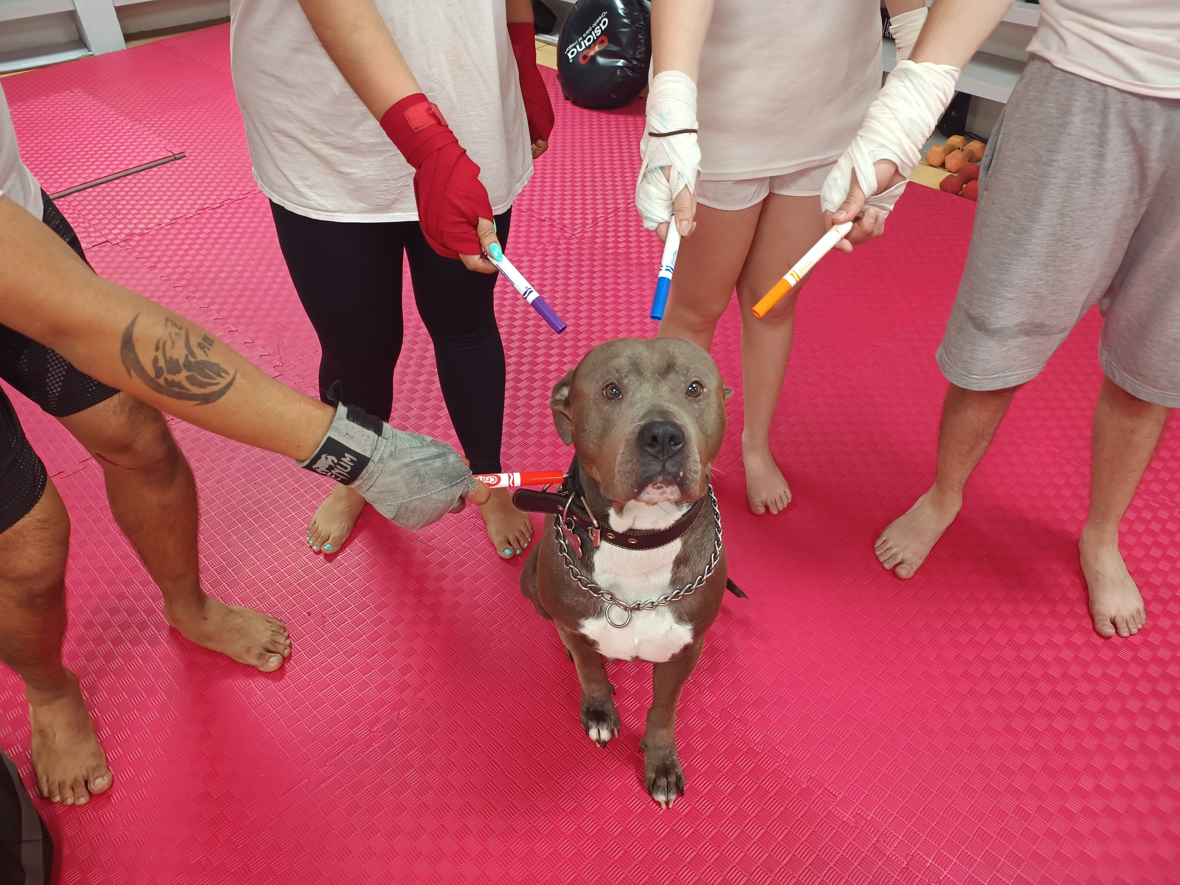 Paga por Clase $200 MXN